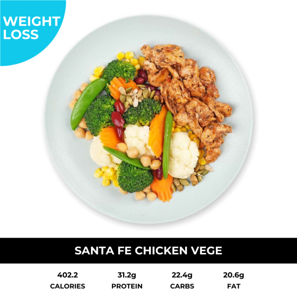 Santa Fe Chicken with Vege / Salad